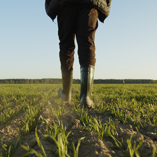 Farmer in wellies walking his land