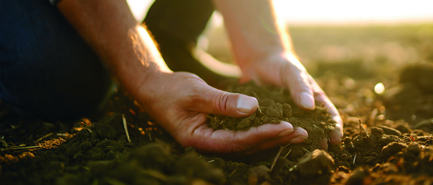 NitroFert farmer holding a handful of soil