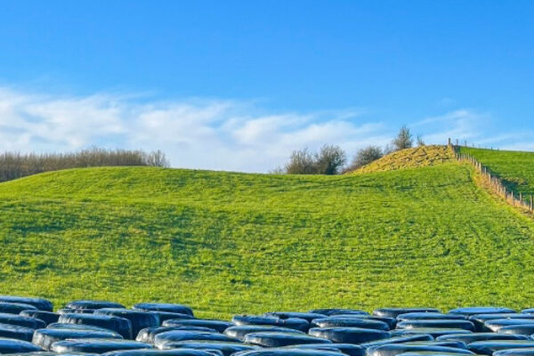 Rows of silage bails with grassland in the background - NitroFert