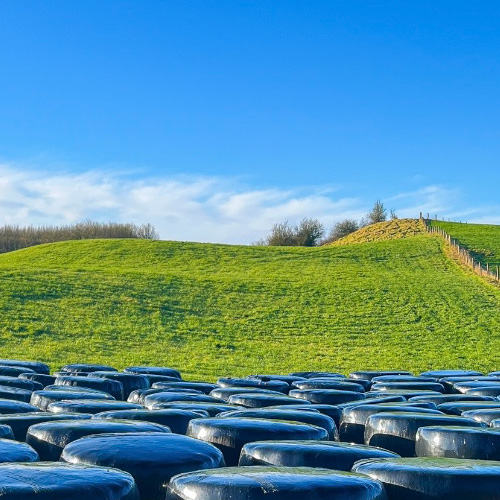 Rows of silage bails with grassland in the background - NitroFert