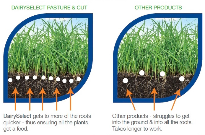 Features of Dairy Select